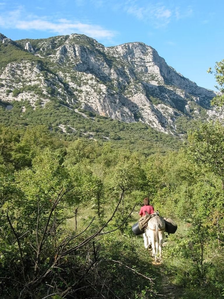 Nature Préservée Cévennes